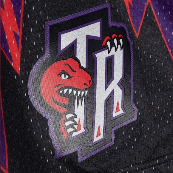 Toronto Raptors Mitchell & Ness 98/99 Hardwood Classics Fadeaway Swingman Shorts - Picture 4 of 4